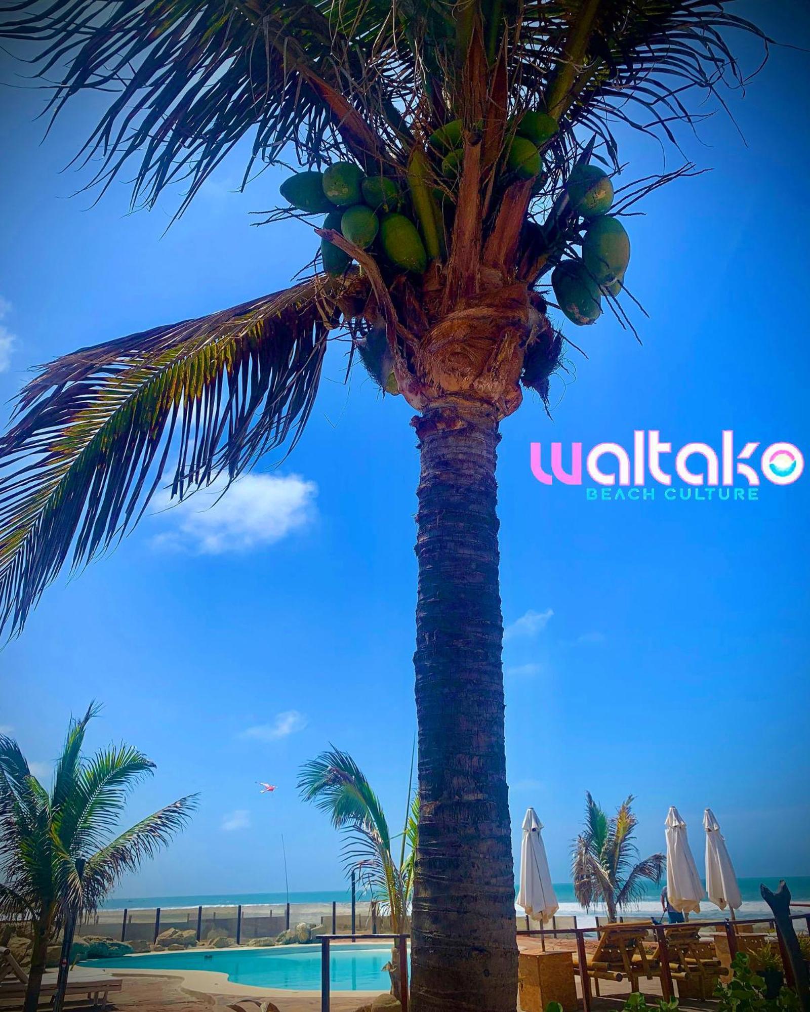 卡诺阿斯德蓬萨尔 Waltako Beach Culture酒店 外观 照片